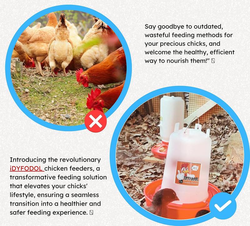 Chicken Feeder and Waterer Set with Adjustable Legs - Rain Proof 1Kg Chick Feeder and 1.5L Chick Watere 4