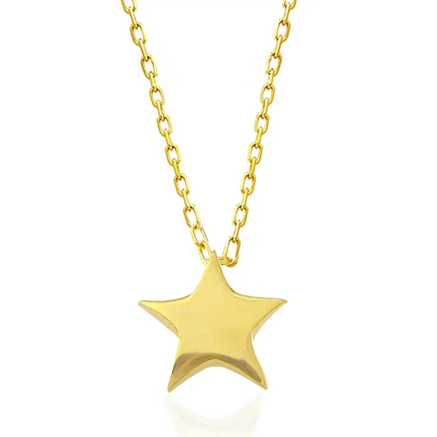 Sterling Silver Gold Plated Star Necklace Female Birthday Daily Anniversary