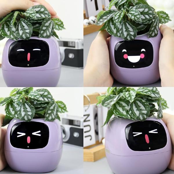 UK Seller - Ivy Smart Planter, Plant Pot, Over 49 Expressions, AI Connects to Phone, Gifts for Him, Gifts for Her, Christmas Gifts, Neat Desk Gift, Adorable Plant Companion, Fun Expressions, Smart phone gadgets, Plant pots, Gadgets Funky Tamagotchi Robot 1