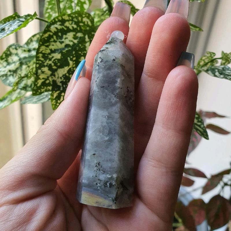 Crystal Towers available 4