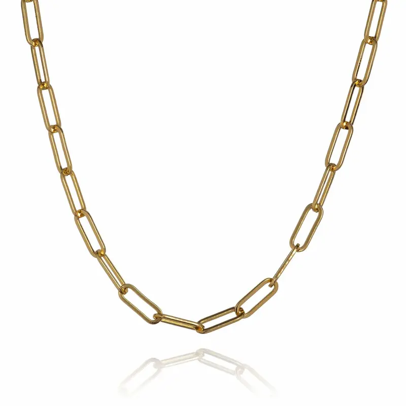 Long Gold Paperclip Chain Necklace for Women 0