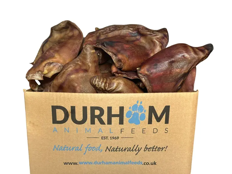 Durham Animal Feeds - 50 Whole Pig Ears for Dogs 0