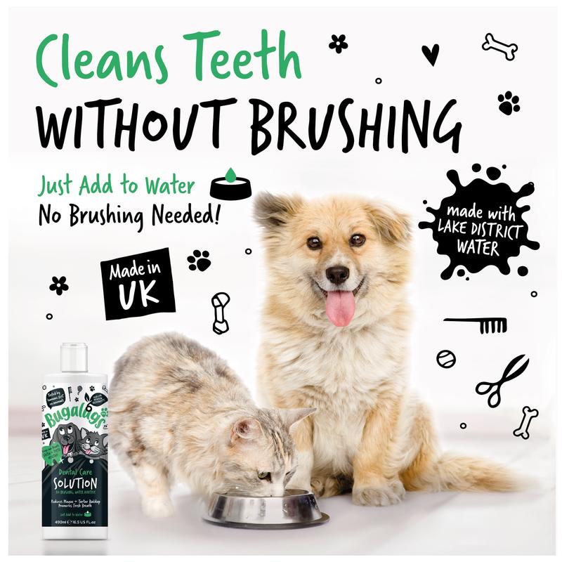 Bugalugs Dental Care Solution for Dogs & Cats - Dental Water Additive, Clean Teeth, Healthy Gums & Fresh Breath - No brushing needed 1
