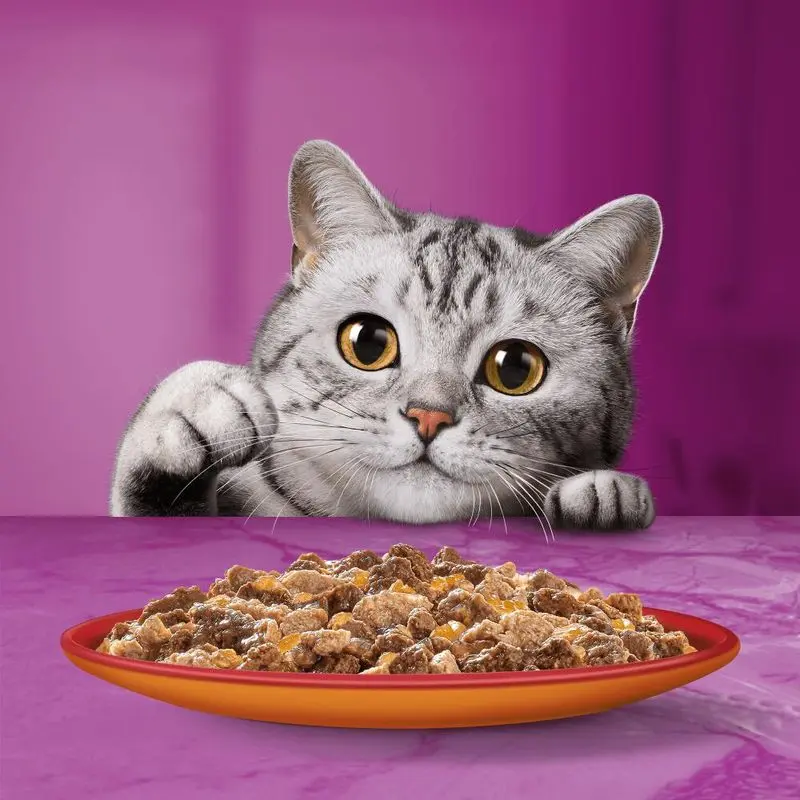 Whiskas 1+ Duo Meaty Combos in Jelly for Cats 4