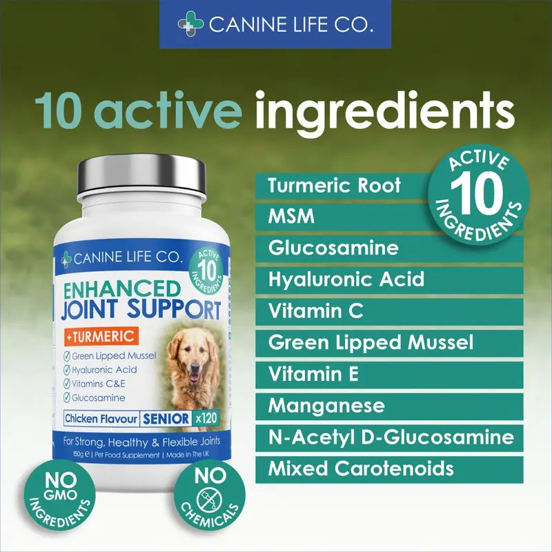 Senior Dog Joint Supplement for Older Dogs Aged 8+ 30 Chewable Tablets Trial Pack 1