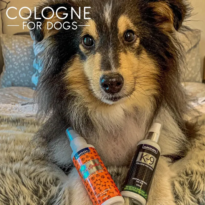 Ancol K9 Dog Cologne, 100 ml 2