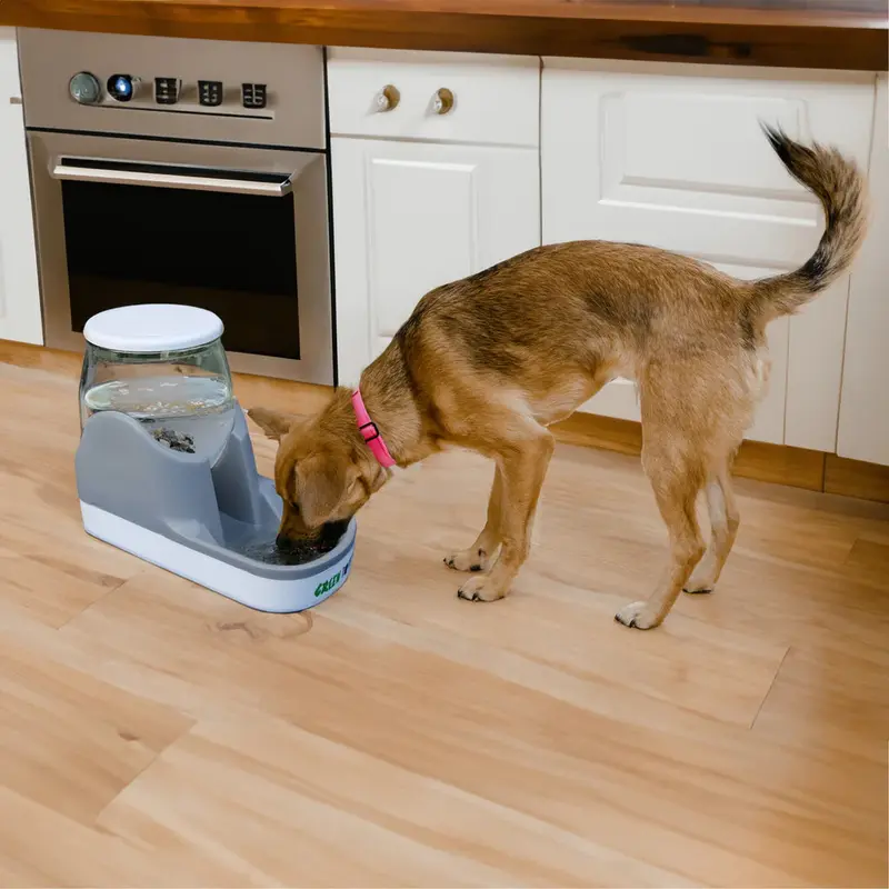 Green Rocks Gravity-Feed Water Bowl 4Ltr 1