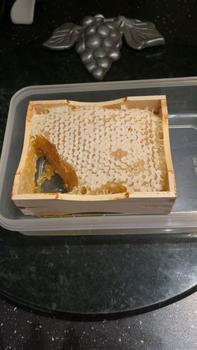 Product Review of Pure Honeycomb - Linden or Acacia Tree -350g from D**a 0