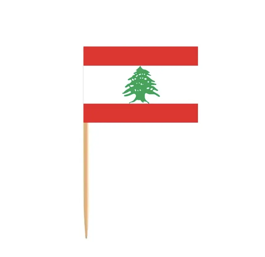 10Pcs Pal3stine Falestin1 Lebanon Lebnen Toothpick Flag Food Stick Decorative Cake Toppers Wedding Decoration Cake Topper Fruit Stick Party