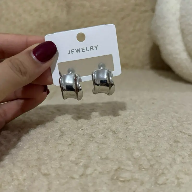 Silver Stainless Steel Twist Earrings