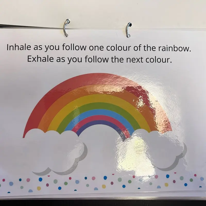Feelings and emotions work book 2