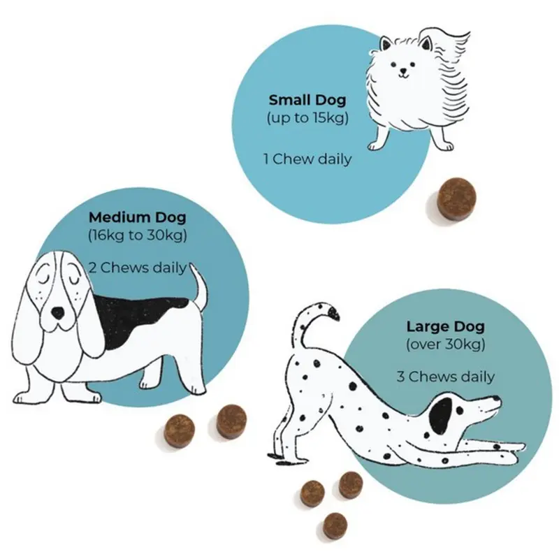 Blue Pet GoShine Skin & Coat Supplement Chicken 90g 30 pieces 4