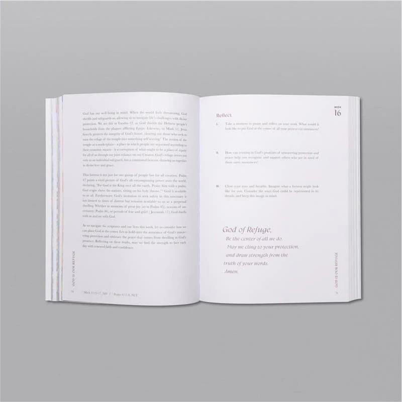 Genuine A Beautiful Year in the Bible: The 52-Week Bible Study for Everyone- God will bless you 1