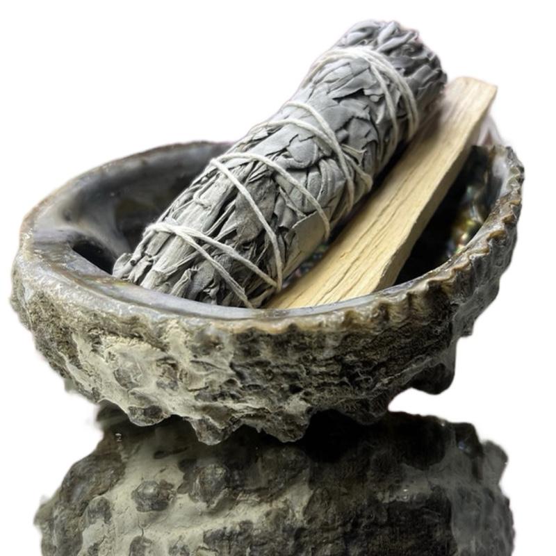 Abalone shell smudging and cleansing set  White sage Sage Scent Aroma 1