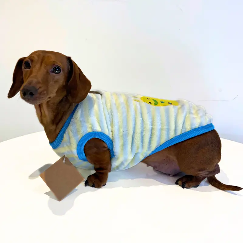 Speedy Snail - Sausage Dog Box Dachshund PJ's/Jumper 6