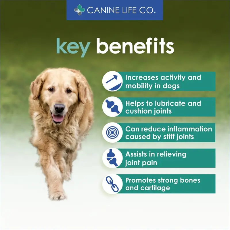 Senior Dog Joint Supplement for Older Dogs Aged 8+ 30 Chewable Tablets Trial Pack 2