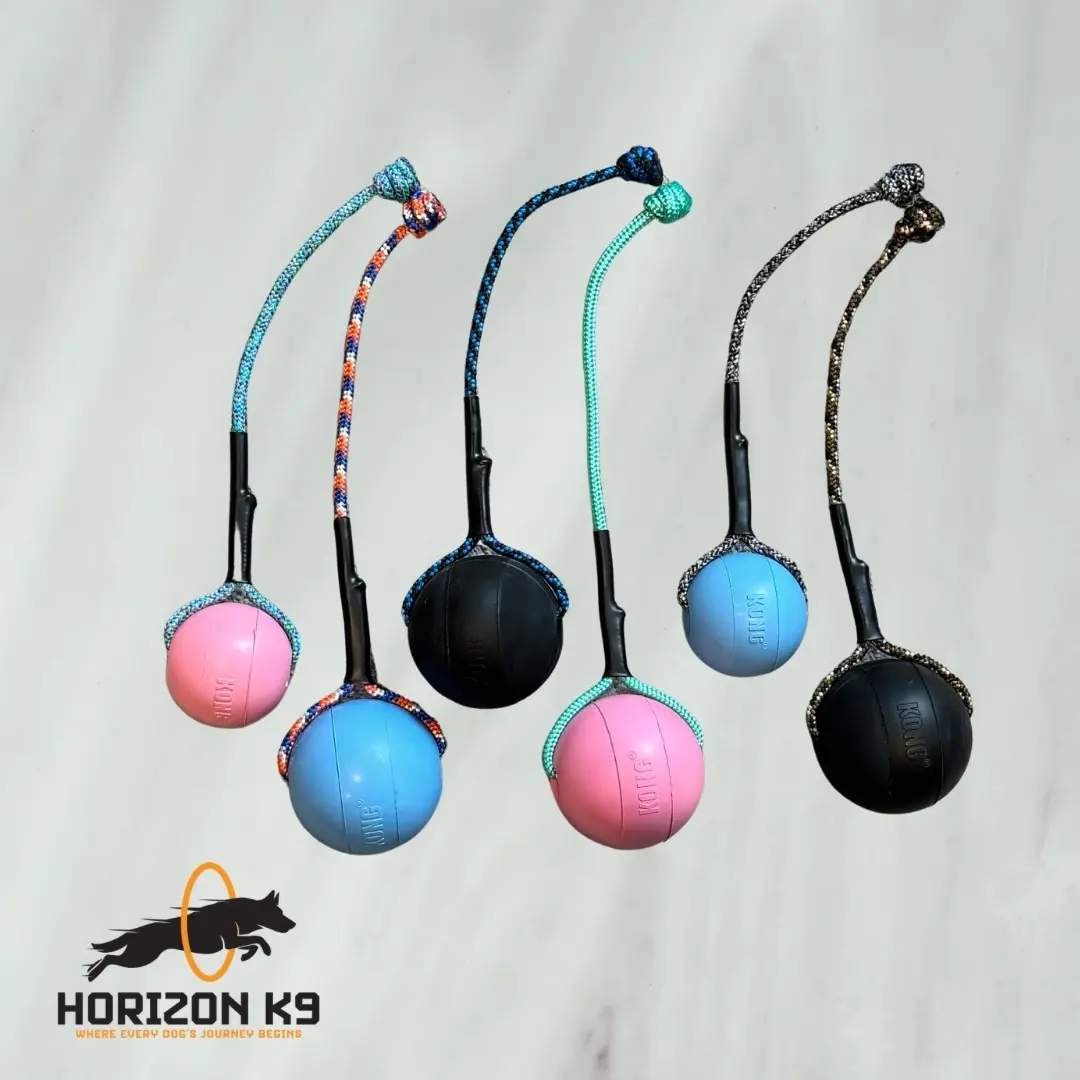 Custom kong reward dog ball - for dogs of all sizes