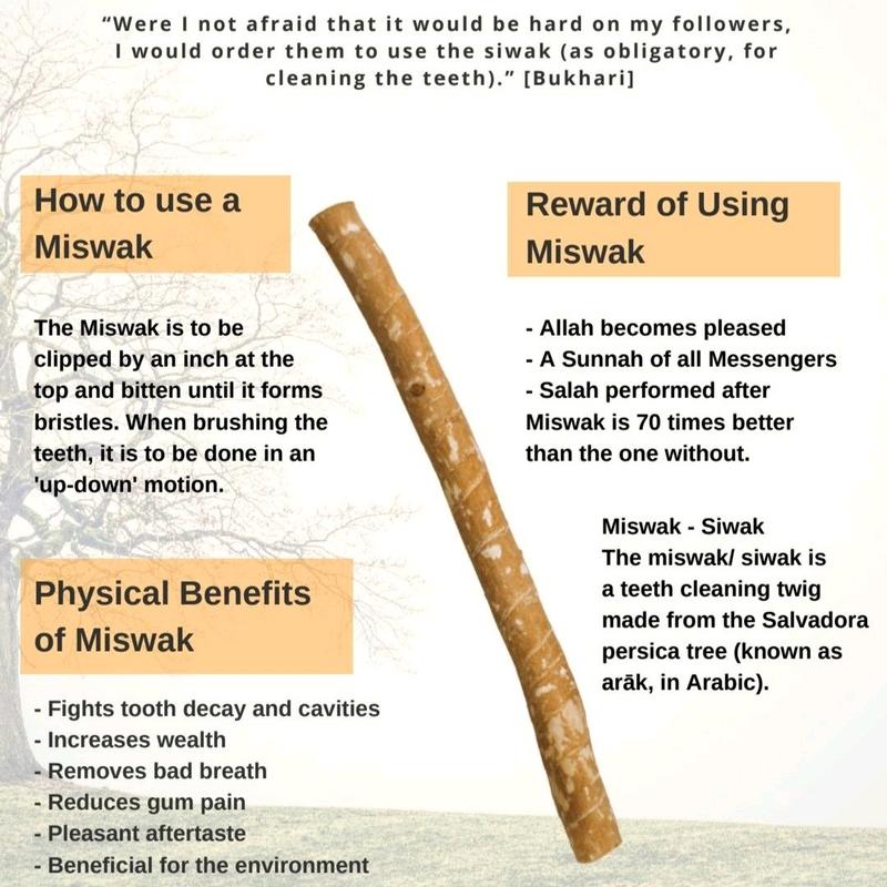 Miswak - A Natural Toothbrush Oral Traditional - Miswak Natural Toothbrush - Eco-Friendly Oral Care 2