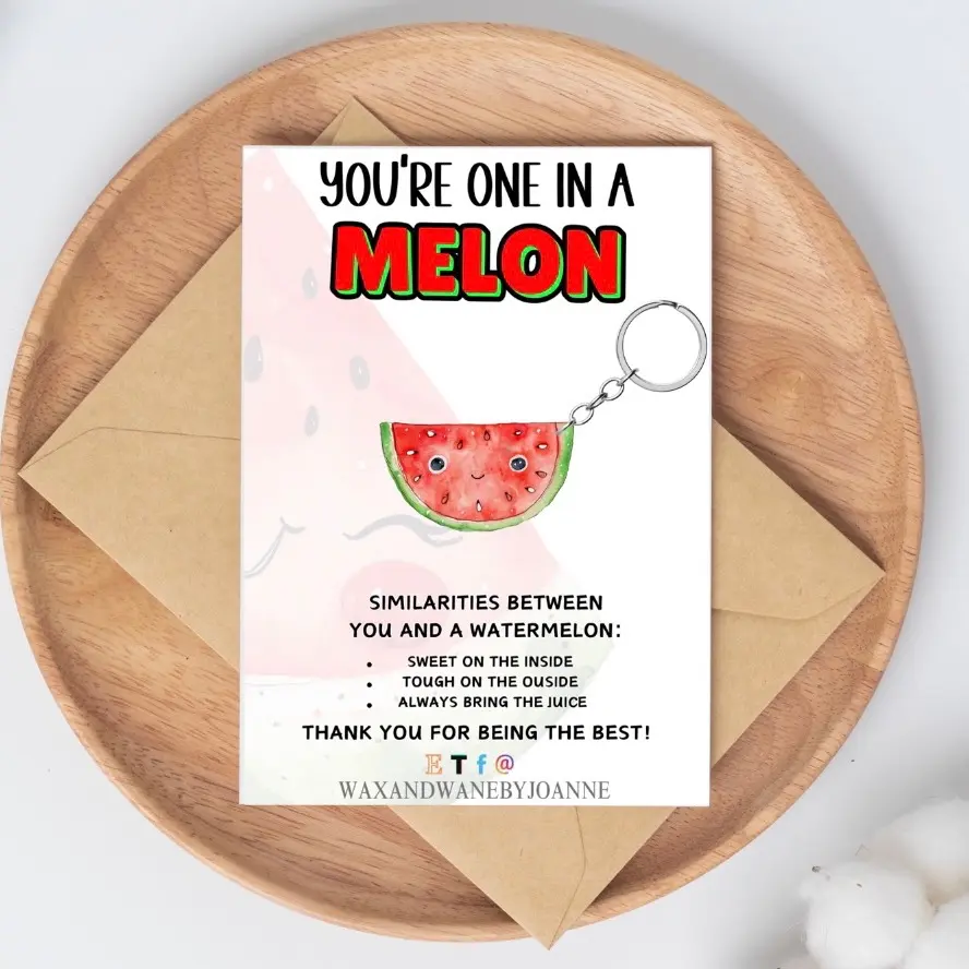 Watermelon Keychain, Summer Keychain, Fruit Keyring, One In A Million, Gifts for friends, Uplifting Gifts, Positive Gifts, Mental Health