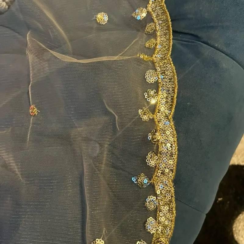 Women Beigish Gold  Net Dupatta with Gota Work. wallima Net hijab. Bridal scraf. Gift for her USA UK Canada 5