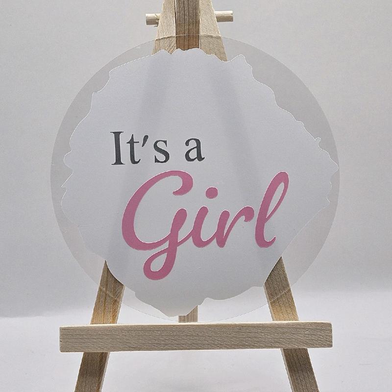 Personalized Baby Gender Sign - 10cm Round Acrylic Disc (Pink/Blue) - Decor 1