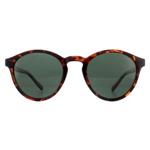 Polaroid Sunglasses PLD 1013/S V08 H8 Havana Green Polarized for Unisex - Mens - Womens - all genders - Eyewear - Sunglasses