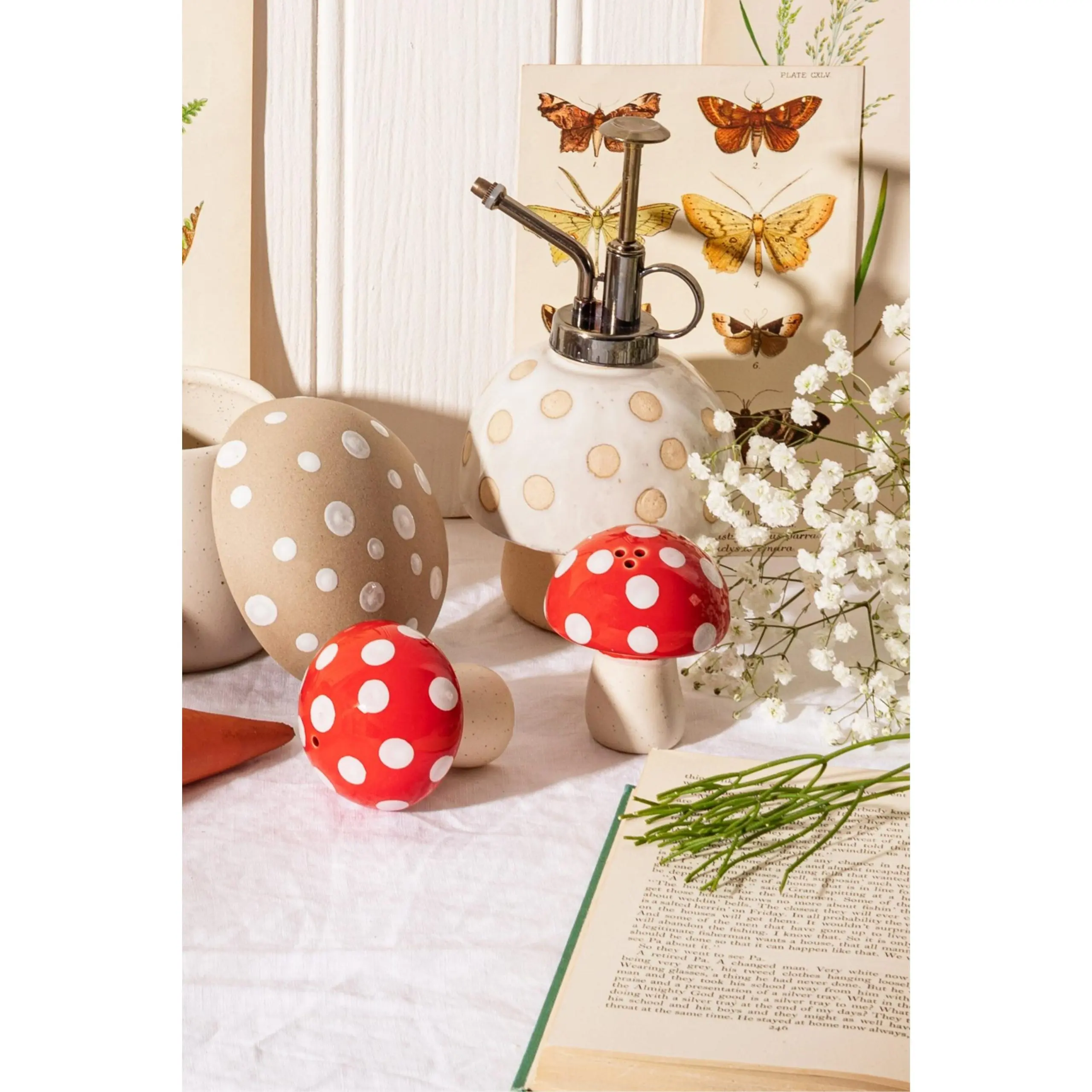 Red Mushroom Salt And Pepper Set