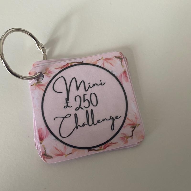 Pink mini savings challenge tracker 1