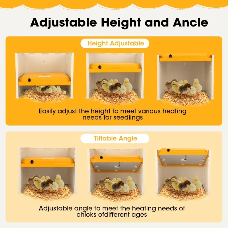 Chick Brooder Heating Plate,Egg Incubator with Adjustable Height and Angle, Brooder Plate for Up to 15 Chick, Replacement Heat Lamp 3