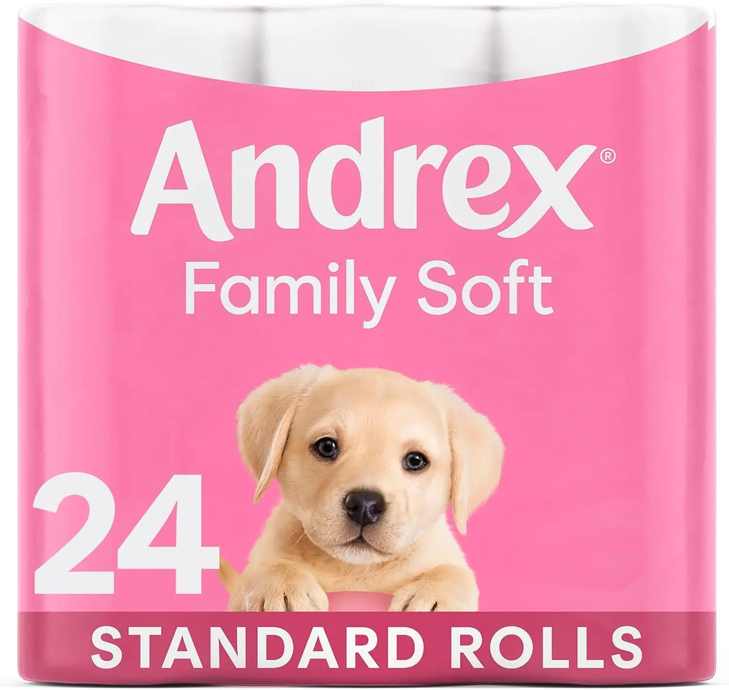 Family Soft Toilet Paper 24 Rolls (Previously Andrex Gentle Clean) Gentle on your Family’s skin– Pack of 24 Toilet Rolls, FSC Certified
