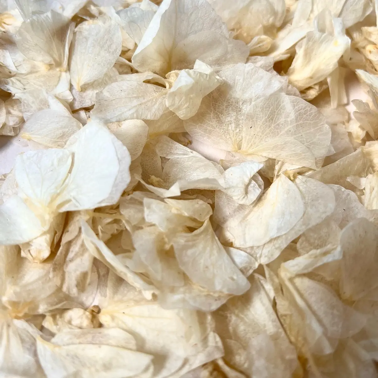 Ivory Hydrangea Confetti