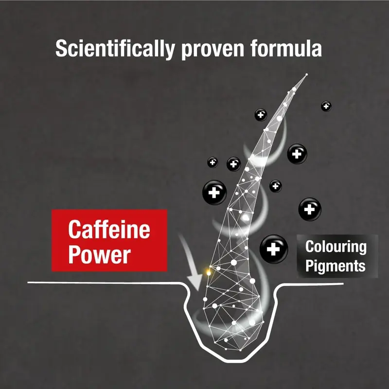 Alpecin Grey Attack Caffeine & Colour Shampoo for Men 1x 200ml | Gradually Darker and Stronger Hair | Controlled & Natural Looking Colour Effect for Less Greys | Against Thinning Hair 4