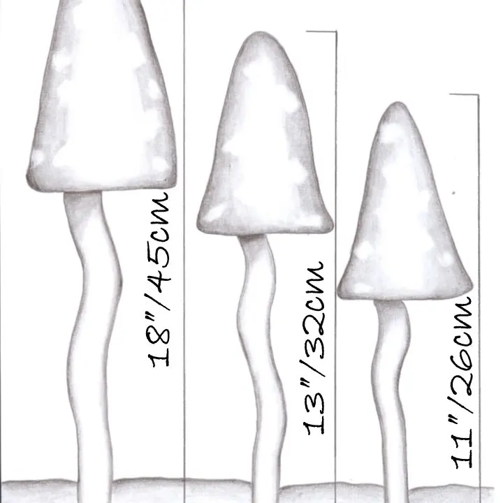 Nightfall Shades - Tinkling Toadstools - Set of 3 - Fairy Garden Accessories - Leisure Gardening ornaments 5