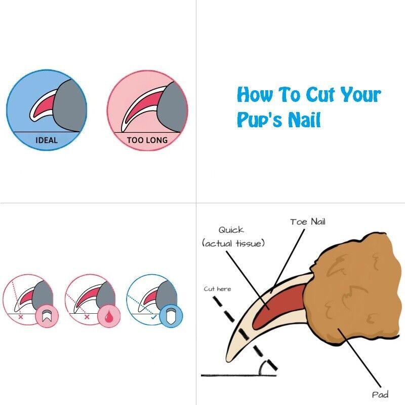 Large Dog Nail Clippers Professional Pet Trimmer & File Grinder with Safety Guard paw scissors Grooming Tool 7