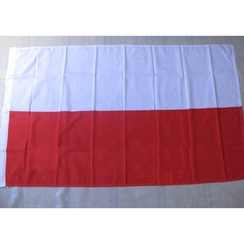 5 X 3ft Poland National Flags Events Pub BBQ Decorations for Rugby Cricket Football Sports 2023 World Cup Banner Fan Light Print 3