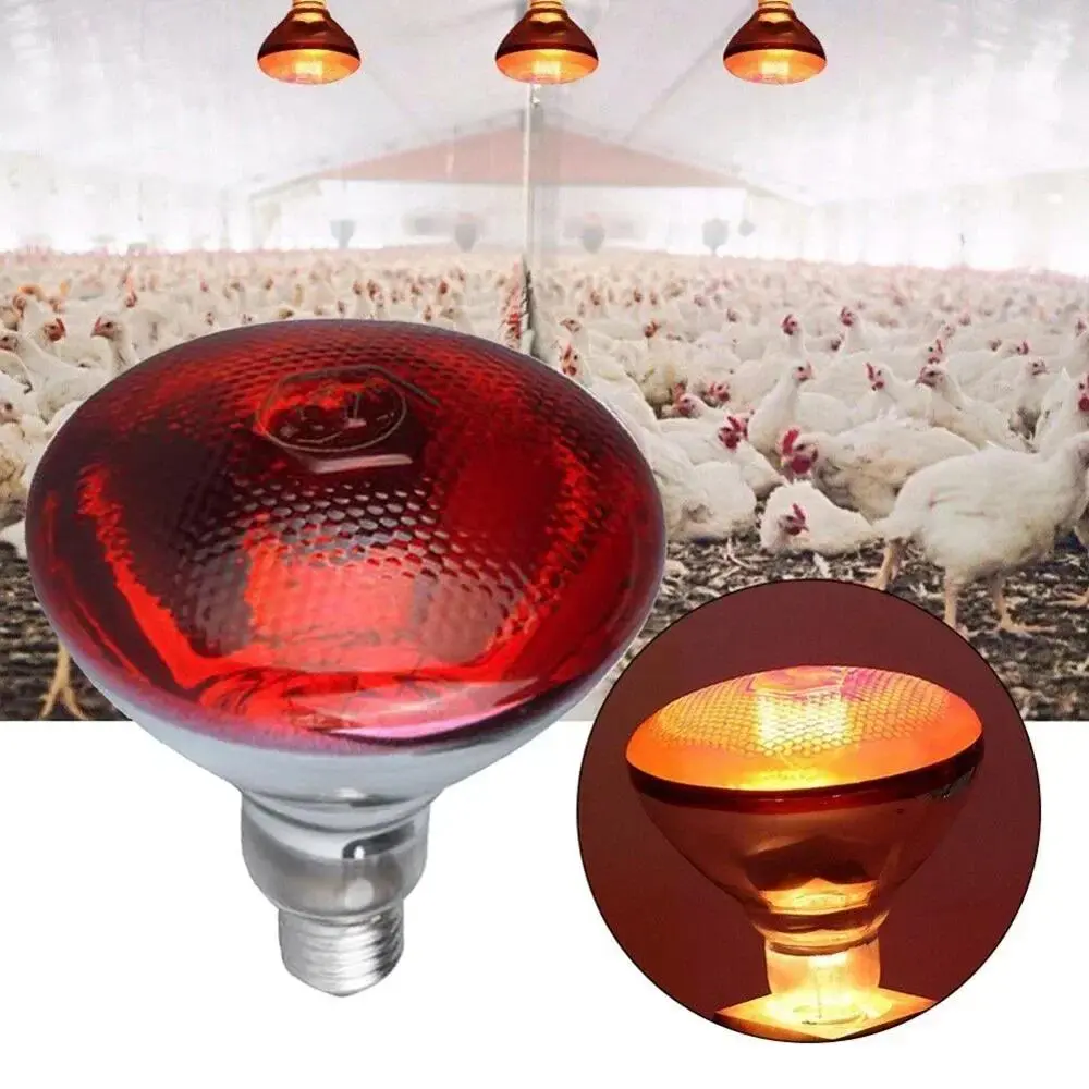220V Heating Light Bulb Poultry Reptile Plant Amphibian 100/150/200/275W Heating Lamp Pet Livestock Infrared Insulation Heating