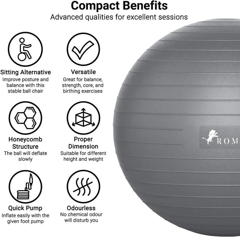 ROMIX Exercise Ball, 55cm 65cm 75cm Anti-burst Extra Thick Birthing Pregnancy Ball with Pump, Fitness Swiss Gym Yoga Ball for Labour Stability Pilates Balance Ball Workout Physical Therapy SILVER 2