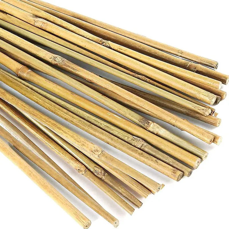 20pcs Bamboo Poles – Plant Support Stakes for Climbing Plants, Trellis for Tomatoes, Vegetables, and Gardening Tool 1