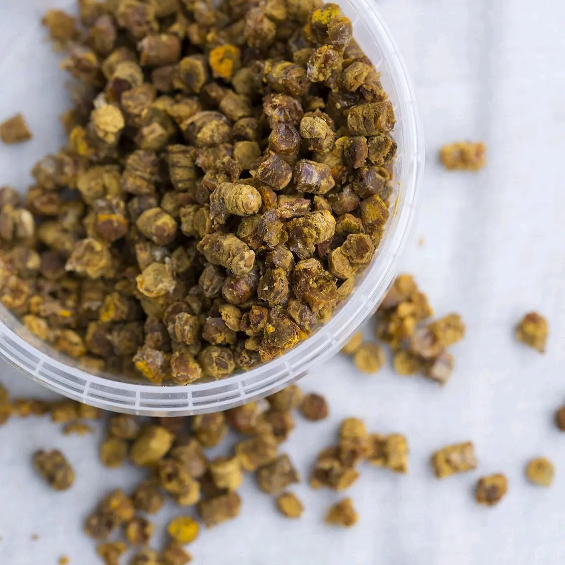 Raw Bee Bread - Natural Source of Protein, Antibiotics & Enzymes- 100g
