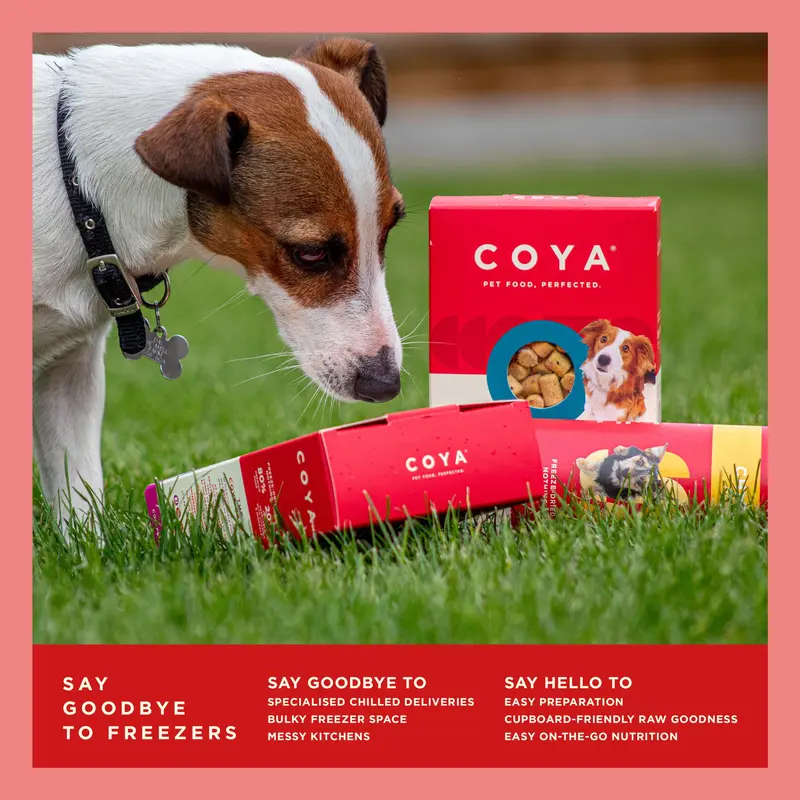 COYA Fish Freeze-Dried Raw Main Meal (150g) 6