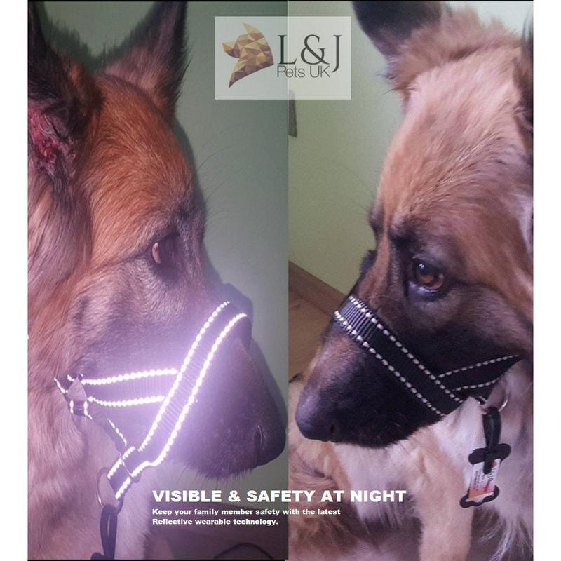 Reflective Padded Head Collar | Dog Training Halter Stops Dog Pulling Behaviour | Outdoor Hi-vis | Large, Small Dogs | Champion 2