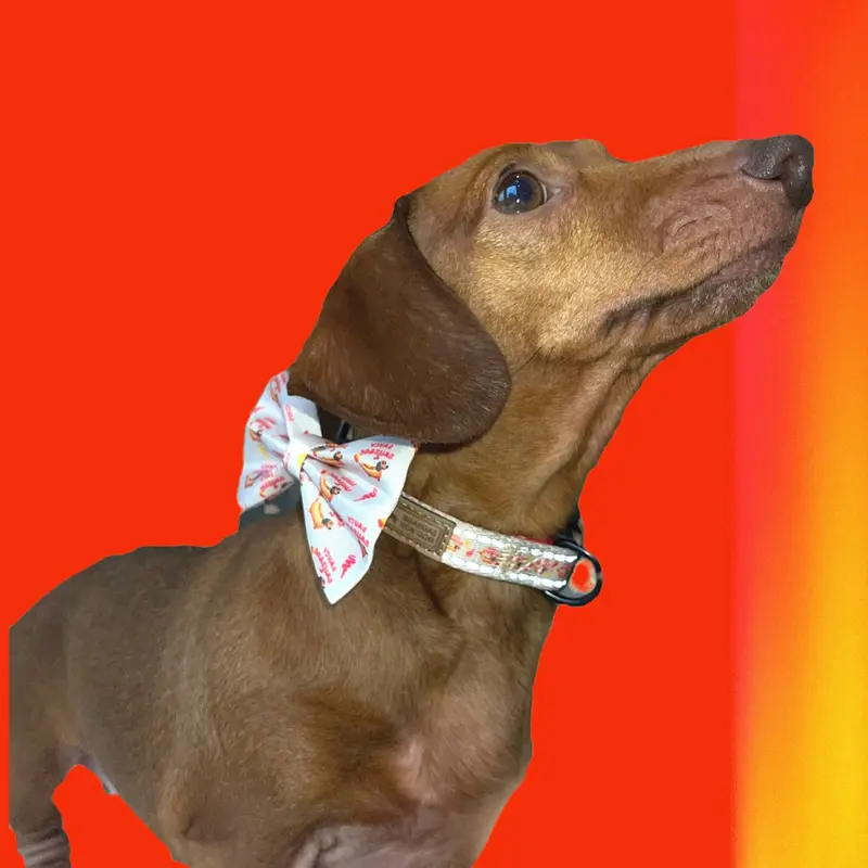 Bow Tie - Saucy Sausage 1