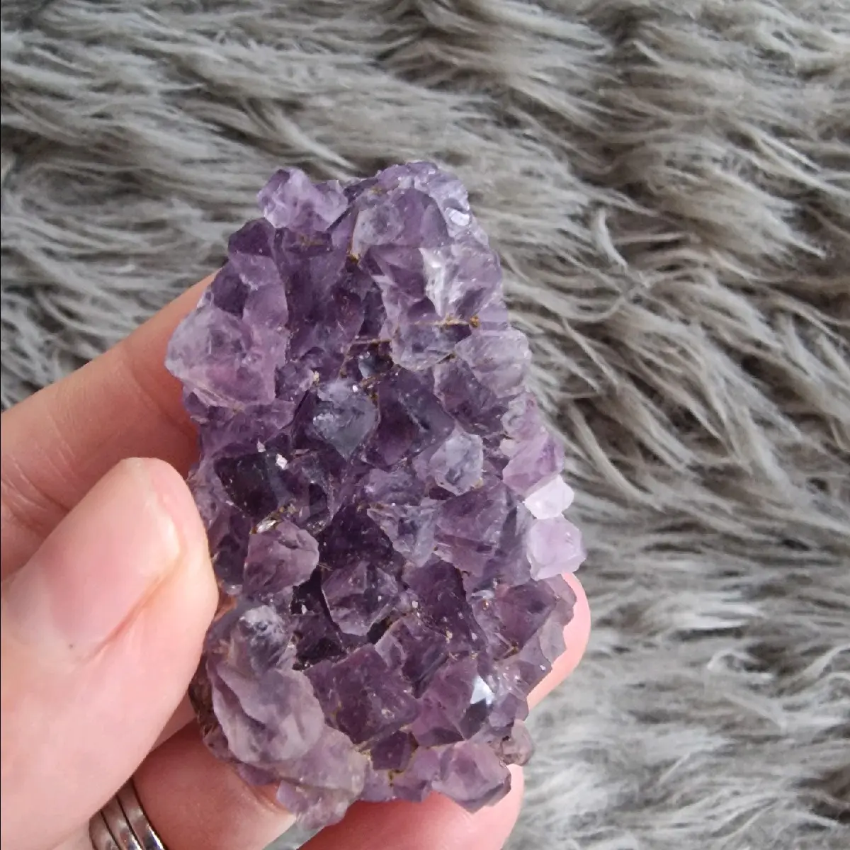 Amethyst cluster