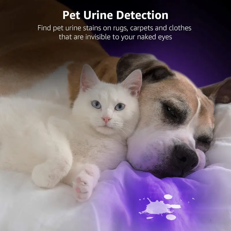 Urine Detectors Lepro LE UV Torch, 9 LED 395nm Ultraviolet Flashlight, Blacklight Detector for Pet Urine, Stain, Bed Bugs and More, 3 AAA Batteries Included [Energy Class F] 3