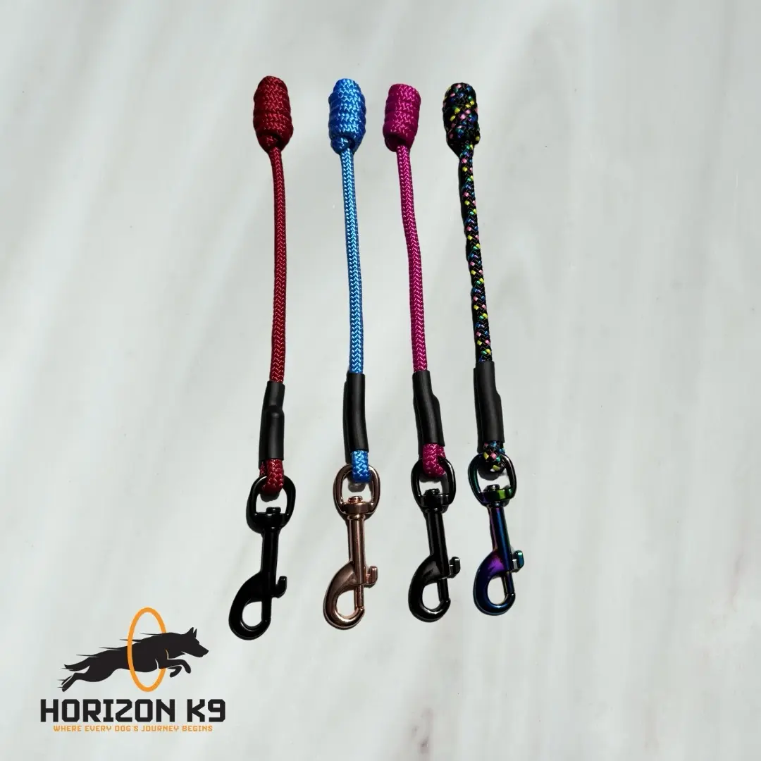 Custom Dog Tab Lead - Personalized Pet Accessory