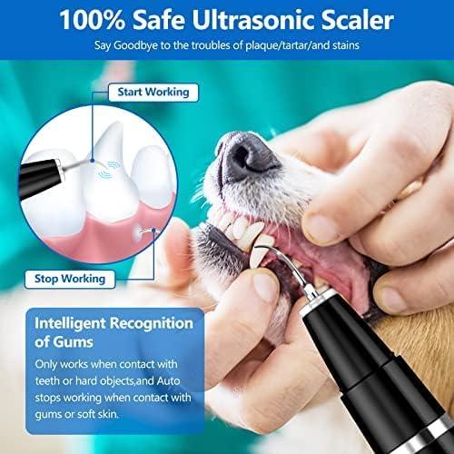 Dog Teeth Cleaning Kit for Dental Care and Tartar Plaque Removal - Pet Tooth Cleaner for Dogs and Cats (Black) 2