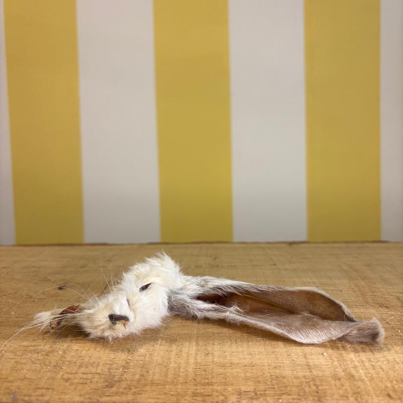 Natural Rabbit Ears for dogs as a treat and for worming 0