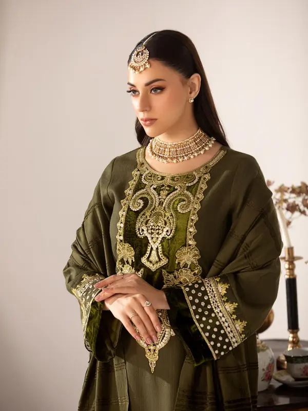HEERA'S 3 PIECE SUIT DHANAK VELVET EMBROIDERED SUIT 2