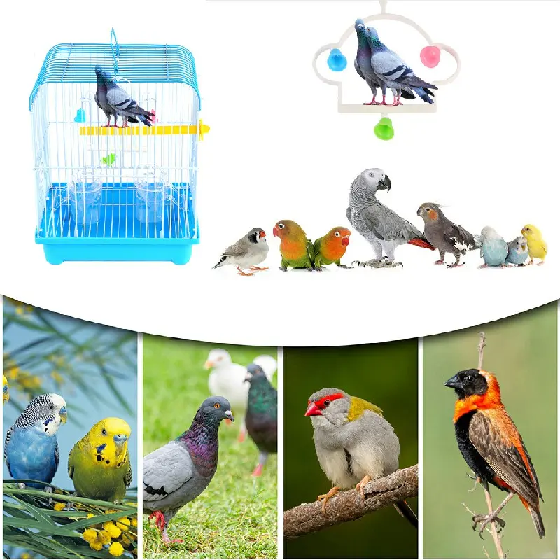 Small Bird Cages 22cm x 27cm x 16cm for Canaries, Budgies, Finches, Metal, Accessories 1