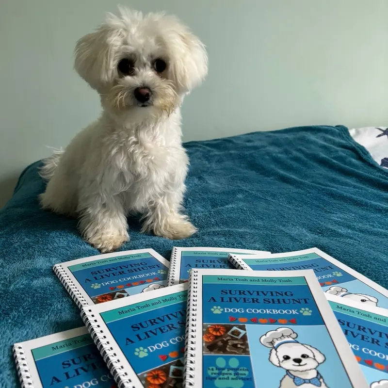 Dog Recipe Book: Surviving a Liver Shunt - low protein dog recipe book - digestive care for dogs 3